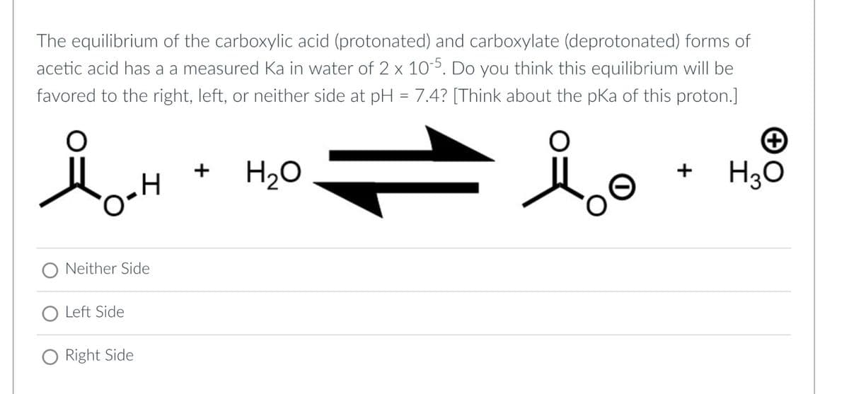 The equilibrium of the carboxylic acid (protonated) and carboxylate (deprotonated) forms of
acetic acid has a a measured Ka in water of 2 x 10-5. Do you think this equilibrium will be
favored to the right, left, or neither side at pH = 7.4? [Think about the pKa of this proton.]
i
O-H
Neither Side
Left Side
Right Side
+
H₂O
+
+ H3O