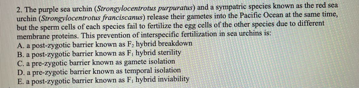 2. The purple sea urchin (Strongylocentrotus purpuratus) and a sympatric species known as the red sea
urchin (Strongylocentrotus franciscanus) release their gametes into the Pacific Ocean at the same time,
but the sperm cells of each species fail to fertilize the egg cells of the other species due to different
membrane proteins. This prevention of interspecific fertilization in sea urchins is:
A. a post-zygotic barrier known as F2 hybrid breakdown
B. a post-zygotic barrier known as F, hybrid sterility
C. a pre-zygotic barrier known as gamete isolation
D. a pre-zygotic barrier known as temporal isolation
E. a post-zygotic barrier known as Fi hybrid inviability

