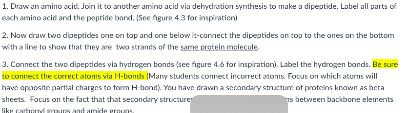 1. Draw an amino acid. Join it to another amino acid via dehydration synthesis to make a dipeptide. Label all parts of
each amino acid and the peptide bond. (See figure 4.3 for inspiration)
2. Now draw two dipeptides one on top and one below it-connect the dipeptides on top to the ones on the bottom
with a line to show that they are two strands of the same protein molecule.
3. Connect the two dipeptides via hydrogen bonds (see figure 4.6 for inspiration). Label the hydrogen bonds. Be sure
to connect the correct atoms via H-bonds (Many students connect incorrect atoms. Focus on which atoms will
have opposite partial charges to form H-bond). You have drawn a secondary structure of proteins known as beta
sheets. Focus on the fact that that secondary structure
ns between backbone elements
like carbonyvl groups and amide groups.
