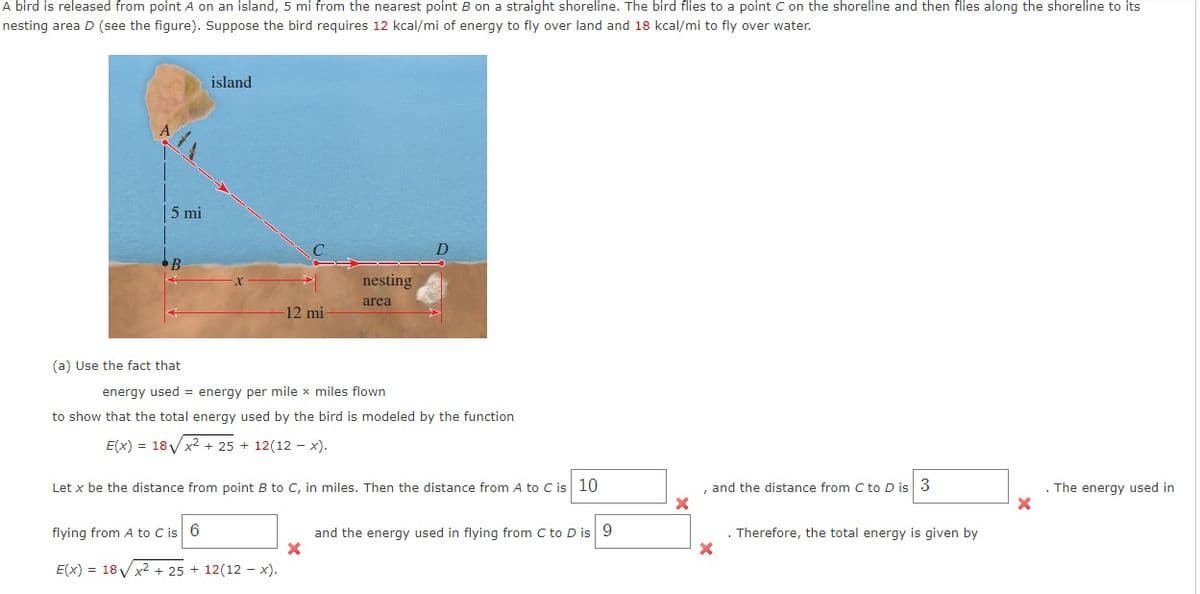 A bird is released from point A on an island, 5 mi from the nearest point B on a straight shoreline. The bird flies to a point C on the shoreline and then flies along the shoreline to its
nesting area D (see the figure). Suppose the bird requires 12 kcal/mi of energy to fly over land and 18 kcal/mi to fly over water.
| 5 mi
B
(a) Use the fact that
island
X
-12 mi
flying from A to C is 6
E(x) = 18√x² + 25 + 12(12-x).
nesting
area
D
energy used = energy per mile x miles flown
to show that the total energy used by the bird is modeled by the function
E(x) = 18√x² + 25 + 12(12-x).
Let x be the distance from point B to C, in miles. Then the distance from A to C is 10
and the energy used in flying from C to D is 9
X
X
, and the distance from C to D is 3
X
. Therefore, the total energy is given by
X
The energy used in