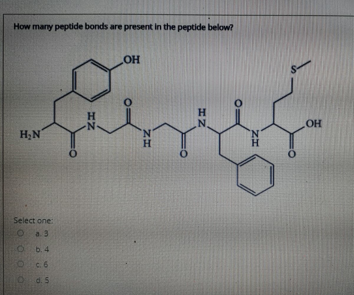 How many peptide bonds are present in the peptide below?
HOT
H.
H.
HO
H.N
N.
H.
N.
H.
Select one:
a. 3
b.4
