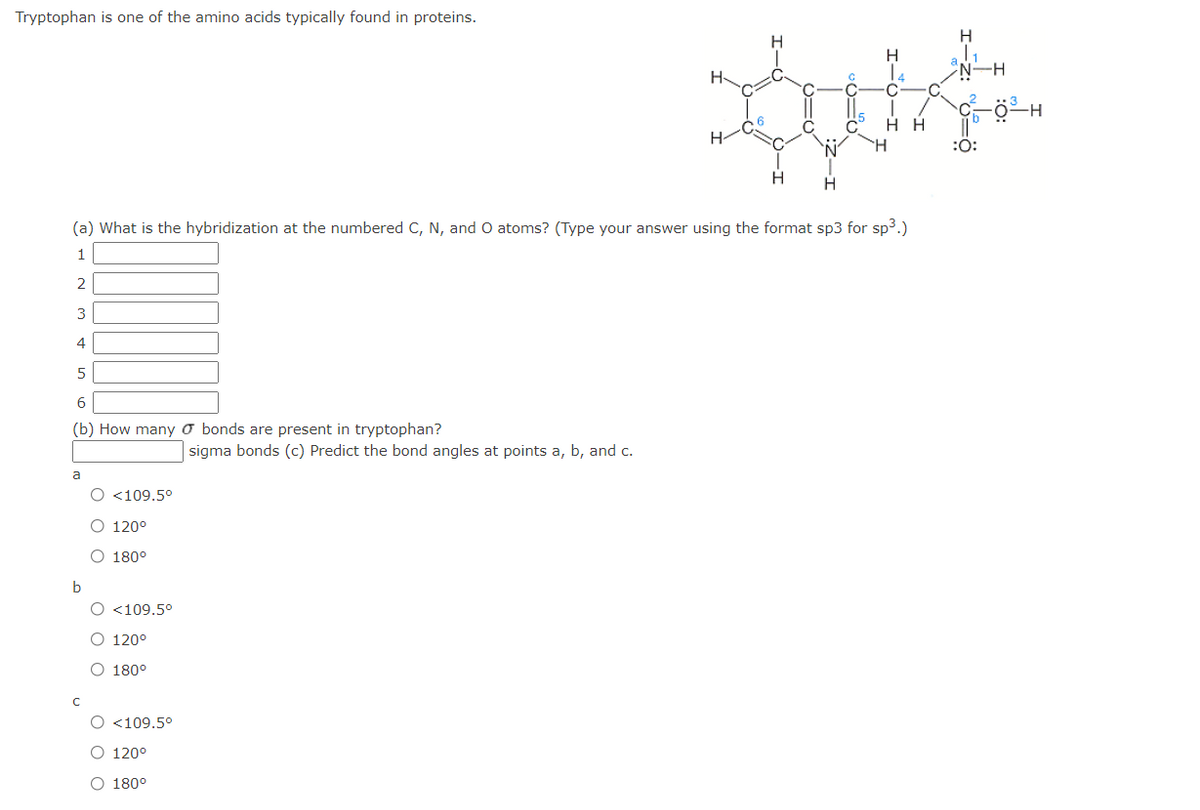 Tryptophan is one of the amino acids typically found in proteins.
H
H
H-
14
H H
H-
H.
:0:
H
(a) What is the hybridization at the numbered C, N, and O atoms? (Type your answer using the format sp3 for sp3.)
1
2
3
4
6
(b) How many o bonds are present in tryptophan?
sigma bonds (c) Predict the bond angles at poi
a, b, and c.
a
O <109.5°
O 120°
O 180°
b
O <109,5°
O 120°
O 180°
O <109.5°
O 120°
O 180°
