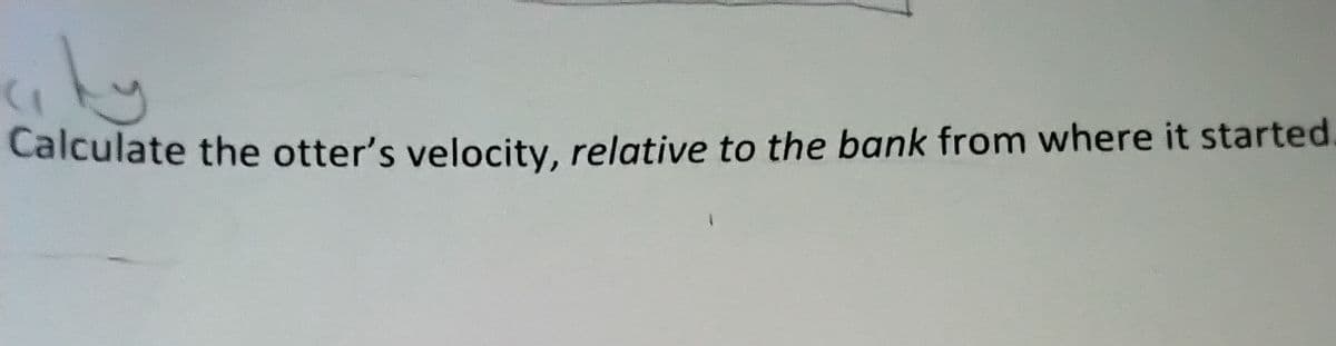 ky
Calculate the otter's velocity, relative to the bank from where it started.