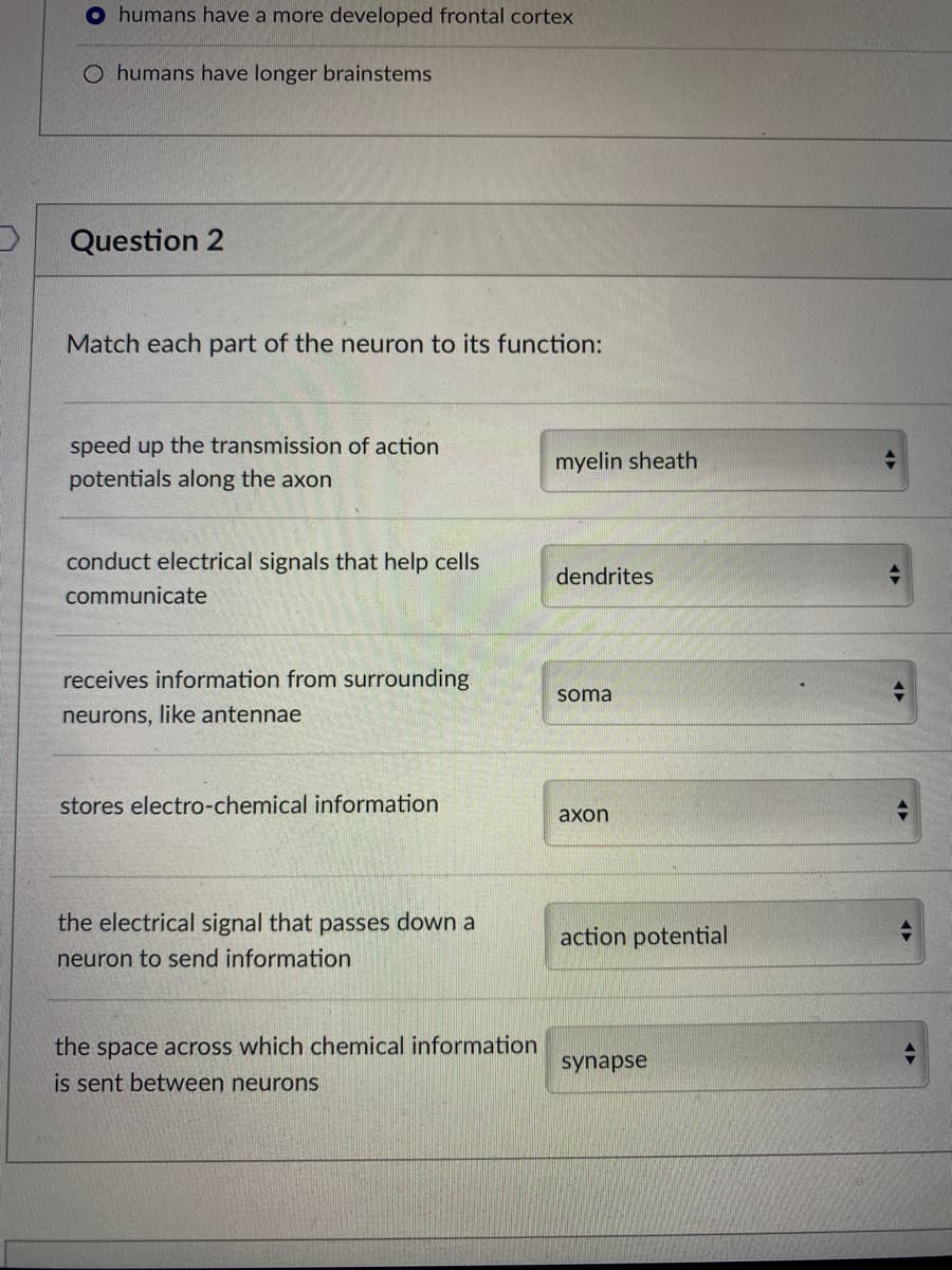 O humans have a more developed frontal cortex
O humans have longer brainstems
Question 2
Match each part of the neuron to its function:
speed up the transmission of action
potentials along the axon
conduct electrical signals that help cells
communicate
receives information from surrounding
neurons, like antennae
stores electro-chemical information
the electrical signal that passes down a
neuron to send information
the space across which chemical information
is sent between neurons
myelin sheath
dendrites
soma
axon
action potential
synapse
→