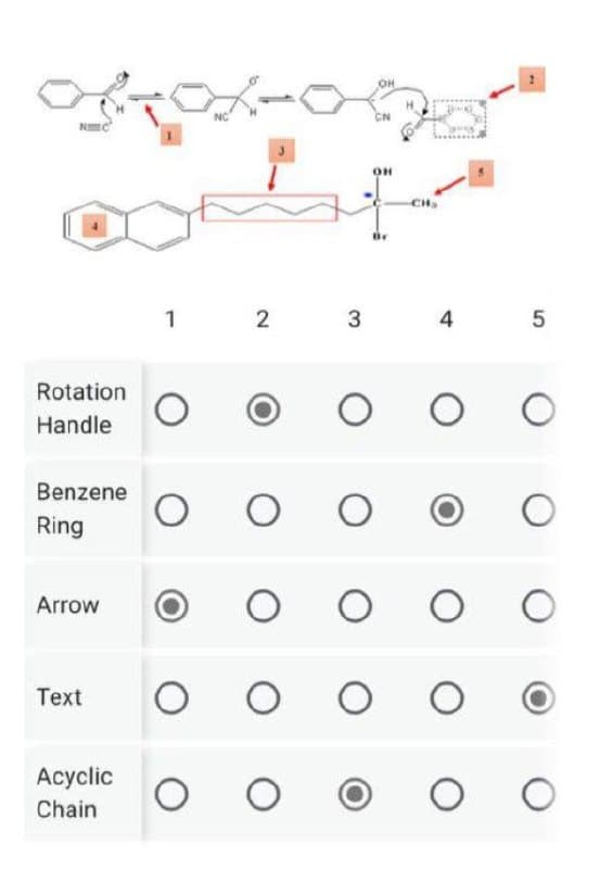 Rotation
Handle
Benzene
Ring
Arrow
Text
Acyclic
Chain
1
O
2
3
O O
O
O
OH
OH
Br
O O O
CH₂
4
M
5
O O O
O
O O O O
O
O
O
O