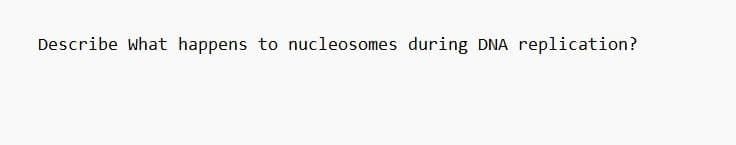 Describe what happens to nucleosomes during DNA replication?