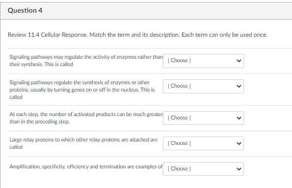 Question 4
Review 11.4 Cellular Response. Match the term and its description. Each term can only be used once.
Signaling pathways may regulate the activity of enzymes rather than
their synthesis. This is called
[Choose )
Signaling pathways regulate the synthesis of enzymes or other
proteins, usually by turning genes on or off in the nucleus. This is
|Choose )
called
At each step, the number of activated products can be much greater
than in the preceding step.
| Choose J
Large relay proteins to which other relay proteins are attached are
[ Choose J
called
Amplification, specificity, efficiency and termination are examples of
| Choose J
>
>
