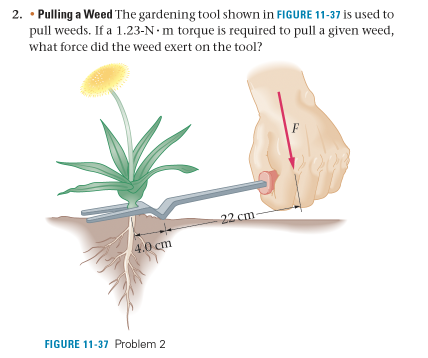 2. Pulling a Weed The gardening tool shown in FIGURE 11-37 is used to
pull weeds. If a 1.23-N·m torque is required to pull a given weed,
what force did the weed exert on the tool?
4.0 cm
FIGURE 11-37 Problem 2
22 cm
F