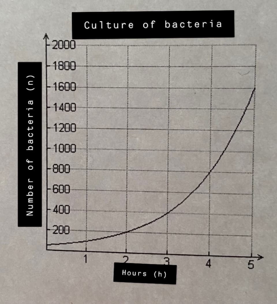 Number of bacteria (n)
2000
1800
1600
1400
1200
1000
-800-
-600
400
-200
Culture of bacteria
3
Hours (h)
4
5