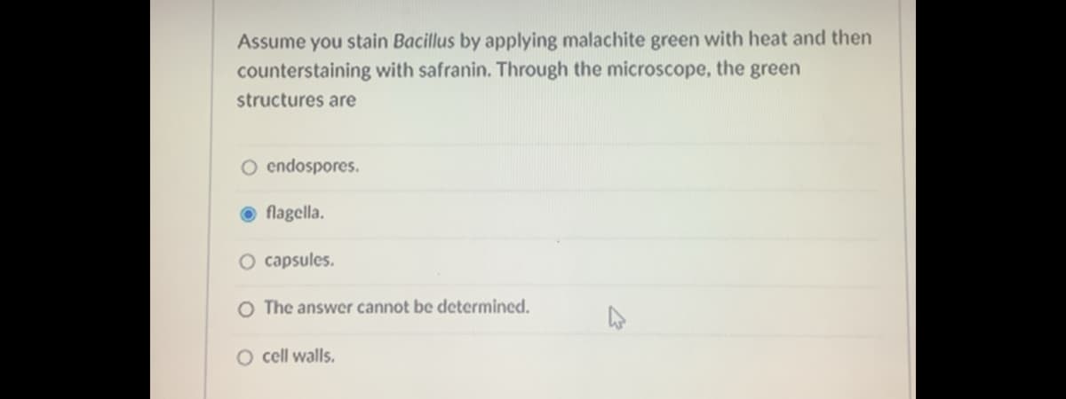 Assume you stain Bacillus by applying malachite green with heat and then
counterstaining with safranin. Through the microscope, the green
structures are
O endospores.
flagella.
O capsules.
O The answer cannot be determined.
O cell walls.
