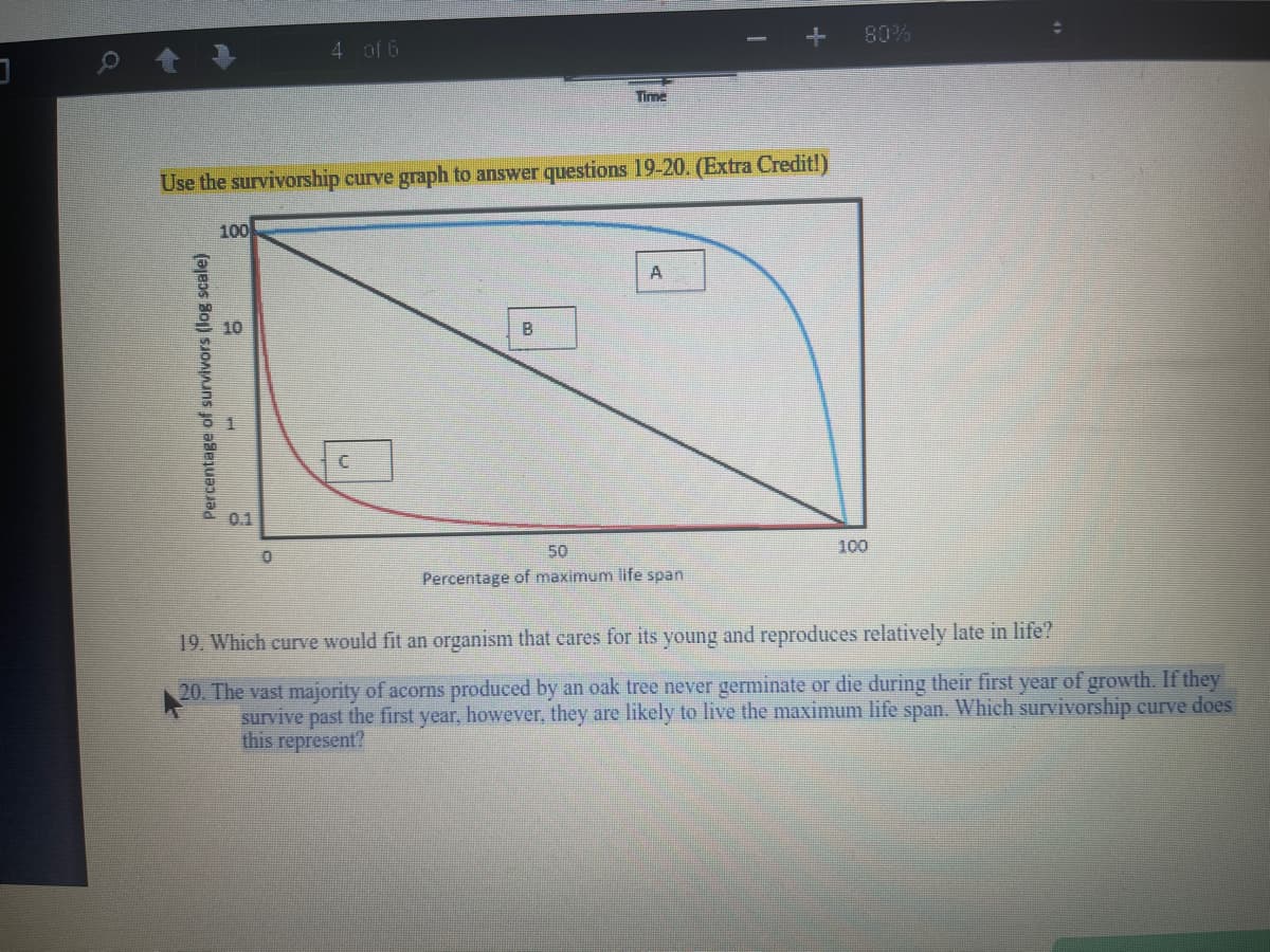 80%
4 of 6
Time
Use the survivorship curve graph to answer questions 19-20. (Extra Credit!)
100
B
0.1
50
100
Percentage of maximum life span
19. Which curve would fit an organism that cares for its young and reproduces relatively late in life?
20. The vast majority of acorns produced by an oak tree never germinate or die during their first year of growth. If they
survive past the first year, however, they are likely to live the maximum life span. Which survivorship eurve does
this represent?
Percentage of survivors (log scale)
