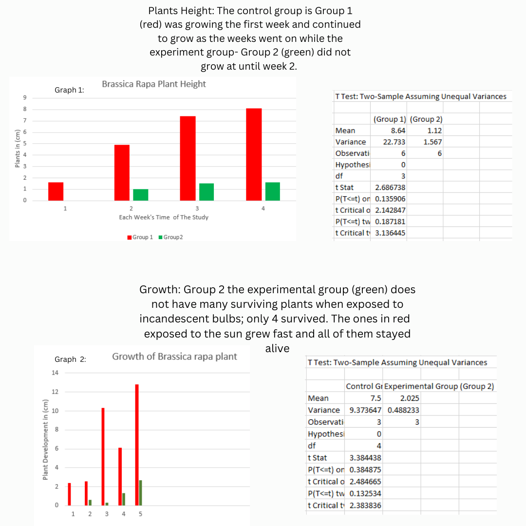 Plants in (cm)
9
8
7
6
0
Plant Development in (cm)
Graph 1:
Graph 2:
14
12
10
8
0
Plants Height: The control group is Group 1
(red) was growing the first week and continued
to grow as the weeks went on while the
experiment group- Group 2 (green) did not
grow at until week 2.
Brassica Rapa Plant Height
LLL
2
3
Each Week's Time of The Study
Group 1 Group2
T Test: Two-Sample Assuming Unequal Variances
1 2 3 4 5
(Group 1) (Group 2)
8.64
1.12
22.733
1.567
6
Mean
Variance
Observati
Hypothesi
df
t Stat 2.686738
P(T<=t) or 0.135906
t Critical o 2.142847
P(T<=t) tw 0.187181
t Critical t 3.136445
Growth: Group 2 the experimental group (green) does
not have many surviving plants when exposed to
incandescent bulbs; only 4 survived. The ones in red
exposed to the sun grew fast and all of them stayed
alive
Growth of Brassica rapa plant
T Test: Two-Sample Assuming Unequal Variances
Control Gr Experimental Group (Group 2)
Mean
7.5 2.025
Variance 9.373647 0.488233
Observati
3
Hypothesi
3
0
4
6
0
3
df
t Stat
3.384438
P(T<=t) or 0.384875
t Critical o 2.484665
P(T<=t) tw
0.132534
t Critical t 2.383836