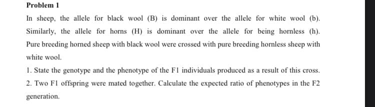 Problem 1
In sheep, the allele for black wool (B) is dominant over the allele for white wool (b).
Similarly, the allele for horns (H) is dominant over the allele for being hornless (h).
Pure breeding horned sheep with black wool were crossed with pure breeding hornless sheep with
white wool.
1. State the genotype and the phenotype of the F1 individuals produced as a result of this cross.
2. Two F1 offspring were mated together. Calculate the expected ratio of phenotypes in the F2
generation.
