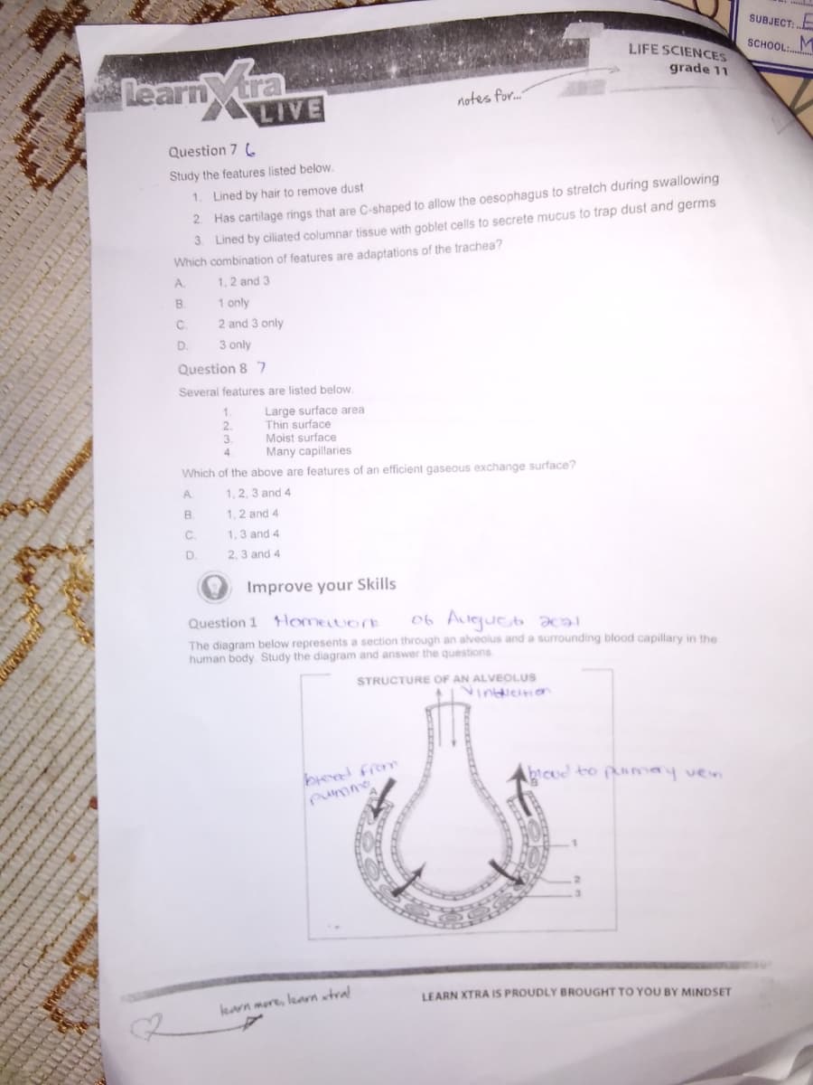 SUBJECT:
LIFE SCIENCES
grade 11
SCHOOL: M
Learn tra
LIVE
notes for..
Question 7 .
Study the features listed below.
1. Lined by hair to remove dust
2 Has cartilage rings that are C-shaped to allow the oesophagus to stretch during swallowing
3. Lined by ciliated columnar tissue with goblet cells to secrete mucus to trap dust and germs
Which combination of features are adaptations of the trachea?
A.
1,2 and 3
B.
1 only
C.
2 and 3 only
D.
3 only
Question 8 7
Several features are listed below.
Large surface area
Thin surface
Moist surface
Many capillaries
Which of the above are features of an efficient gaseous exchange surface?
A.
1, 2, 3 and 4
B.
1, 2 and 4
C.
1, 3 and 4
D.
2, 3 and 4
Improve your Skills
Question 1 1HomeLwork
06 Augueb ƏHƏİ
The diagram below represents a section through an alveolus and a surrounding blood capillary in the
human body. Study the diagram and answer the questions
STRUCTURE OF AN ALVEOLUS
beed from
pumme
bicod to pumay ven
LEARN XTRA IS PROUDLY BROUGHT TO YOU BY MINDSET
lkarn mere, lean xtral
