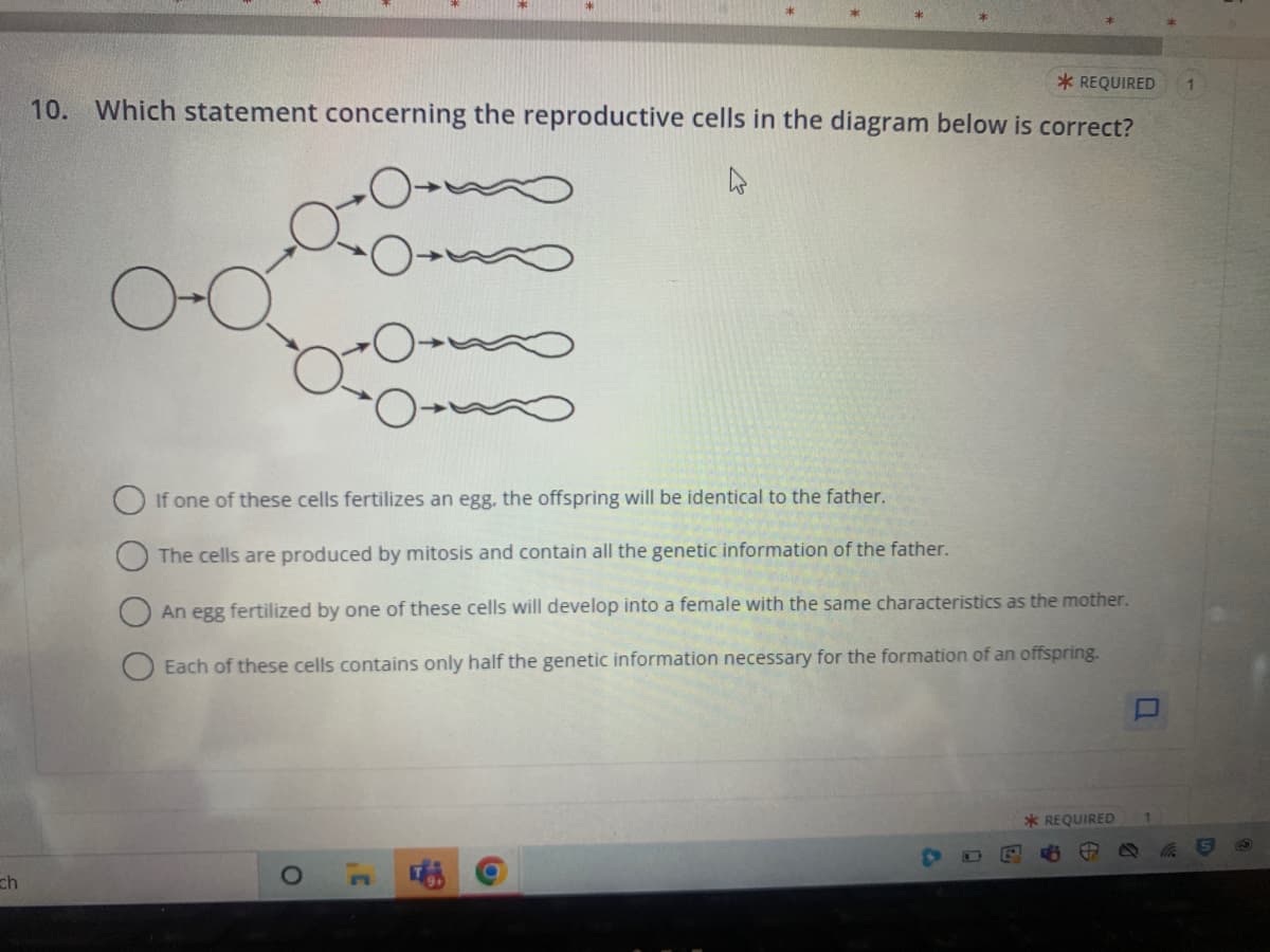 ch
*REQUIRED
10. Which statement concerning the reproductive cells in the diagram below is correct?
4
If one of these cells fertilizes an egg, the offspring will be identical to the father.
The cells are produced by mitosis and contain all the genetic information of the father.
An egg fertilized by one of these cells will develop into a female with the same characteristics as the mother.
Each of these cells contains only half the genetic information necessary for the formation of an offspring.
O
1¹
*REQUIRED
1