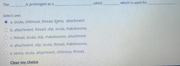 is prolonged as a
called
which is used for
The
Select one
• a. sicula, chitinous, thread, tema, attachment
O b. attachment, thread, stip, sicula, rhabdosome,
O c thread, sicula, stip, rhabdosome, attachment
O d. attachment, stip, sicula, thread, thabdosome,
O e nema, sicula, attachment, chitinous, thread
Clear my choice
