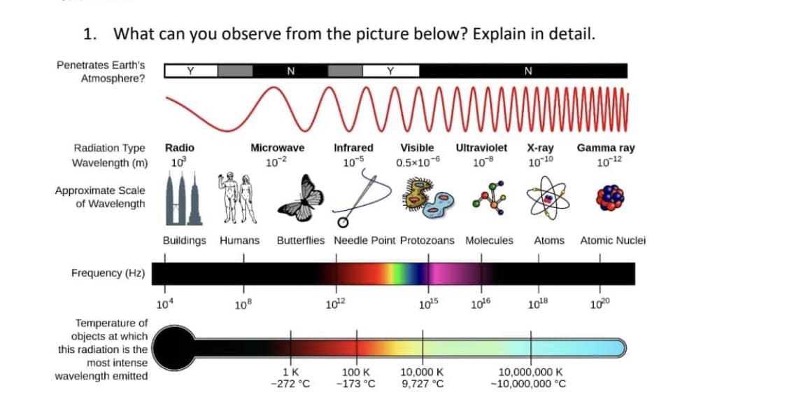1. What can you observe from the picture below? Explain in detail.
Penetrates Earth's
Atmosphere?
Radiation Type Radio
Wavelength (m) 10³
Approximate Scale
of Wavelength
Frequency (Hz)
Temperature of
objects at which
this radiation is the
most intense
wavelength emitted
Y
104
GR
N
wwwwwww
Visible
0.5x10-6
Microwave
10-²
108
Infrared
10-5
Buildings Humans Butterflies Needle Point Protozoans Molecules Atoms
1K
-272 °C
10¹2
100 K
-173 °C
10¹5
10,000 K
9,727 °C
N
Ultraviolet X-ray
10-8
10-10
1016
10¹8
10,000,000 K
-10,000,000 °C
Gamma ray
10-12
Atomic Nuclei
1020