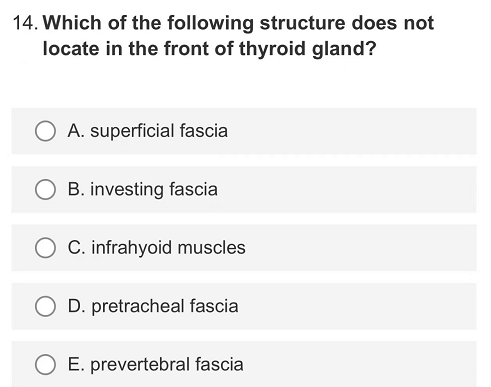 14. Which of the following structure does not
locate in the front of thyroid gland?
OA. superficial fascia
B. investing fascia
C. infrahyoid muscles
D. pretracheal fascia
E. prevertebral fascia