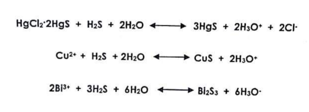 HgCl2'2H9S + H2S + 2H2O + 3H9S + 2H3O + 2CI-
Cu2+ + H2S + 2H2O
Cus + 2H3O*
2B13+ + 3H2S + 6H2O Bİ2S3 + 6H30-
