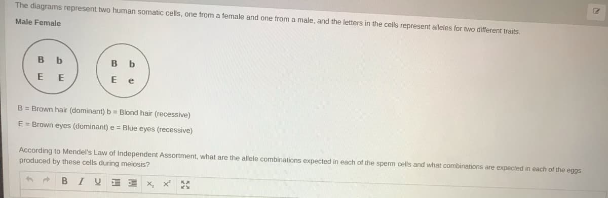 The diagrams represent two human somatic cells, one from a female and one from a male, and the letters in the cells represent alleles for two different traits.
Male Female
b
B
E E
E
e
B = Brown hair (dominant) b = Blond hair (recessive)
E = Brown eyes (dominant) e = Blue eyes (recessive)
According to Mendel's Law of Independent Assortment, what are the allele combinations expected in each of the sperm cells and what combinations are expected in each of the eggs
produced by these cells during meiosis?
BIU E E
X, x
