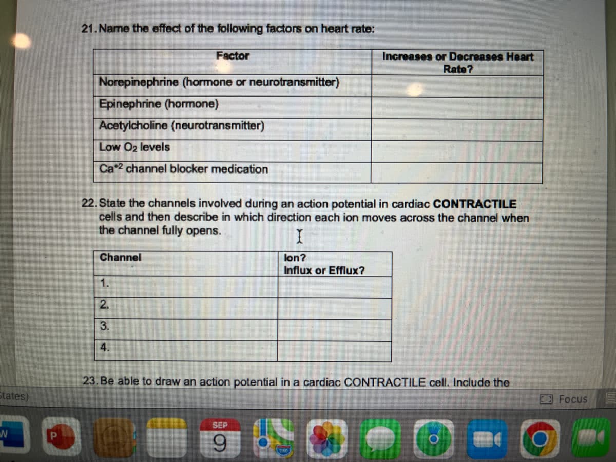 States)
N
P
21. Name the effect of the following factors on heart rate:
Norepinephrine (hormone or neurotransmitter)
Epinephrine (hormone)
Acetylcholine (neurotransmitter)
Low O2 levels
Ca*2 channel blocker medication
Factor
Channel
22. State the channels involved during an action potential in cardiac CONTRACTILE
cells and then describe in which direction each ion moves across the channel when
the channel fully opens.
I
lon?
Influx or Efflux?
1.
2.
3.
4.
Increases or Decreases Heart
Rate?
23. Be able to draw an action potential in a cardiac CONTRACTILE cell. Include the
SEP
9
O
Focus