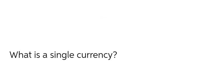 What is a single currency?
