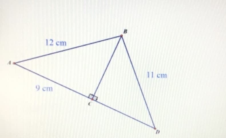 12 cm
11 cm
9 cm
