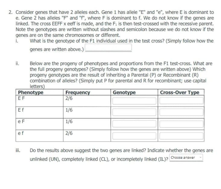 2. Consider genes that have 2 alleles each. Gene 1 has allele "E" and "e", where E is dominant to
e. Gene 2 has alleles "F" and "f", where F is dominant to f. We do not know if the genes are
linked. The cross EEFF x eeff is made, and the F1 is then test-crossed with the recessive parent.
Note the genotypes are written without slashes and semicolon because we do not know if the
genes are on the same chromosomes or different.
i.
What is the genotype of the F1 individual used in the test cross? (Simply follow how the
genes are written above.)
ii.
Below are the progeny of phenotypes and proportions from the F1 test-cross. What are
the full progeny genotypes? (Simply follow how the genes are written above) Which
progeny genotypes are the result of inheriting a Parental (P) or Recombinant (R)
combination of alleles? (Simply put P for parental and R for recombinant; use capital
letters)
Phenotype
EF
Frequency
2/6
Cross-Over Type
Genotype
Ef
1/6
e F
1/6
ef
2/6
iii.
Do the results above suggest the two genes are linked? Indicate whether the genes are
unlinked (UN), completely linked (CL), or incompletely linked (IL)? Choose answer
