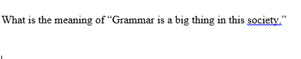 What is the meaning of "Grammar is a big thing in this society."
