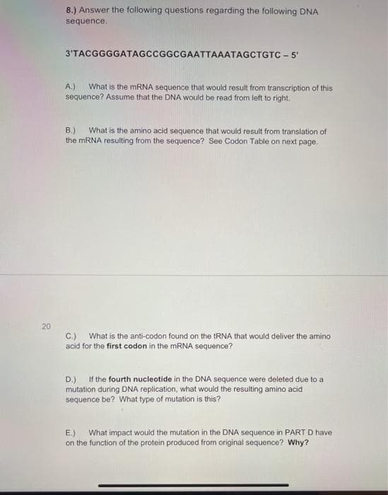 8.) Answer the following questions regarding the following DNA
sequence.
3'TACGGGGATAGCCGGCGAATTAAATAGCTGTC - 5"
A.)
What is the MRNA sequence that would result from transcription of this
sequence? Assume that the DNA would be read from left to right.
What is the amino acid sequence that would result from translation of
B.)
the MRNA resulting from the sequence? See Codon Table on next page.
20
C.) What is the anti-codon found on the tRNA that would deliver the amino
acid for the first codon in the MRNA sequence?
D.) If the fourth nucleotide in the DNA sequence were deleted due to a
mutation during DNA replication, what would the resulting amino acid
sequence be? What type of mutation is this?
E.) What impact would the mutation in the DNA sequence in PART D have
on the function of the protein produced from original sequence? Why?
