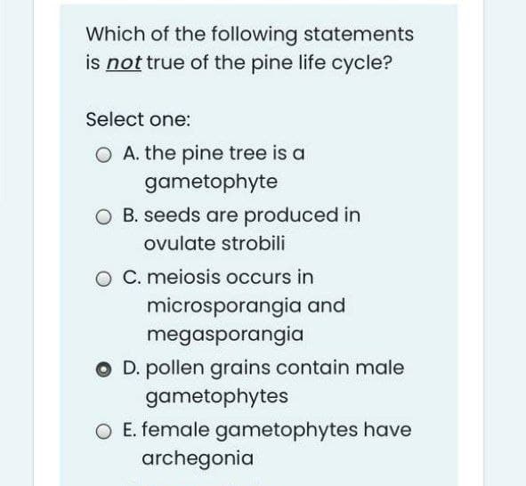 Which of the following statements
is not true of the pine life cycle?
Select one:
O A. the pine tree is a
gametophyte
O B. seeds are produced in
ovulate strobili
O C. meiosis occurs in
microsporangia and
megasporangia
O D. pollen grains contain male
gametophytes
O E. female gametophytes have
archegonia
