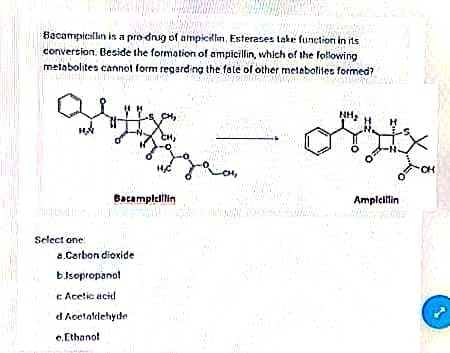 Bacampicillin is a pro-drug of ampicillin, Esterases take function in its
conversion. Beside the formation of ampicillin, which of the following
metabolites cannot form regarding the fate of other metabolites formed?
Pas
NH₂
H
Ques
71-
offty
CH
14/6
Ampicillin
Bacampicillin
Select one:
a.Carbon dioxide
bIsopropanol
cAcetic acid
d. Acetaldehyde
e.Ethanol
رامستان
MNZ