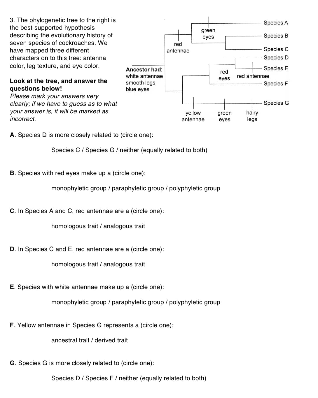 3. The phylogenetic tree to the right is
the best-supported hypothesis
describing the evolutionary history of
seven species of cockroaches. We
have mapped three different
Species A
green
Species B
eyes
red
Species C
antennae
Species D
characters on to this tree: antenna
color, leg texture, and eye color.
Species E
Ancestor had:
red
white antennae
red antennae
eyes
Look at the tree, and answer the
smooth legs
blue eyes
Species F
questions below!
Please mark your answers very
clearly; if we have to guess as to what
your answer is, it will be marked as
Species G
hairy
legs
yellow
antennae
green
incorrect.
eyes
A. Species
more closely related to (circle one):
Species C Species G neither (equally related to both)
B. Species with red eyes make up a (circle one):
monophyletic group paraphyletic group polyphyletic group
C. In Species A and C, red antennae are a (circle one):
homologous trait analogous trait
D. In Species C and E, red antennae are a (circle one):
homologous trait analogous trait
E. Species with white antennae make up a (circle one):
monophyletic group paraphyletic group polyphyletic group
F. Yellow antennae in Species G represents a (circle one):
ancestral trait / derived trait
G. Species G is more closely related to (circle one):
Species D Species F neither (equally related to both)
