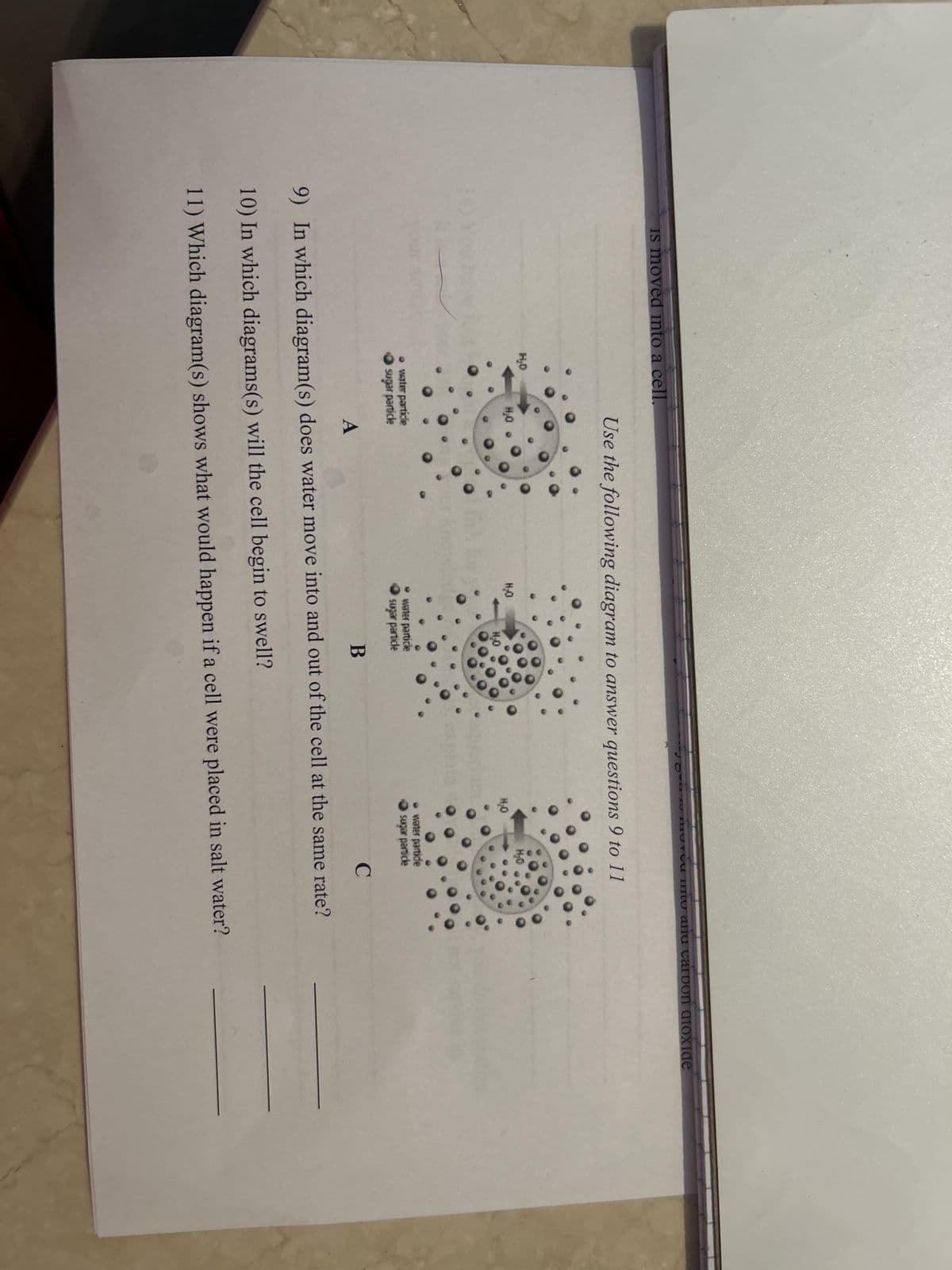 Is moved into a cell.
H₂D
Use the following diagram to answer questions 9 to 11
H₂O
water particle
sugar particle
H₂O
water particle
sugar particle
umo ariu carbon dioxide
H₂O
water partide
sugar particle
A
B
C
9) In which diagram(s) does water move into and out of the cell at the same rate?
10) In which diagrams(s) will the cell begin to swell?
11) Which diagram(s) shows what would happen if a cell were placed in salt water?