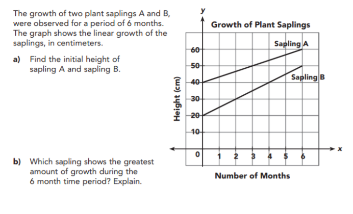 The growth of two plant saplings A and B,
were observed for a period of 6 months.
The graph shows the linear growth of the
saplings, in centimeters.
Growth of Plant Saplings
Sapling A
6아
a) Find the initial height of
sapling A and sapling B.
5어
Sapling B
40아
30
20
4아
2 3 4 $
b) Which sapling shows the greatest
amount of growth during the
6 month time period? Explain.
Number of Months
Height (cm)

