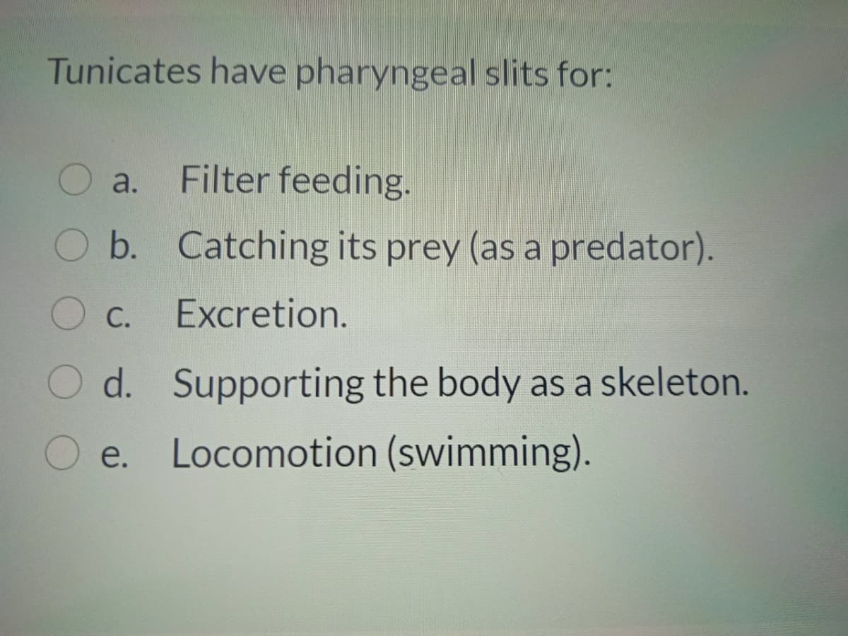 Tunicates have pharyngeal slits for:
a.
Filter feeding.
b. Catching its prey (as a predator).
С.
Excretion.
d. Supporting the body as a skeleton.
O e.
Locomotion (swimming).
