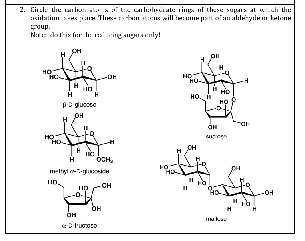 2. Circle the carbon atoms of the carbohydrate rings of these sugars at which the
oxidation takes place. These carbon atoms will become part of an aldehyde or ketone
group.
Note: do this for the reducing sugars only!
OH
H
OH
H
H
но
но.
HO
но-
но-
-H
H
но
H
но
H
HO,
H
но
B-D-glucose
он
HO.
H
OH
HỌ
Но
sucrose
OH
H
H
Но
OCH3
OH
methyl a-D-glucoside
Но.
H
но.
Но
OH
Но
-HO-
но
OH
OH
maltose
a-D-fructose
