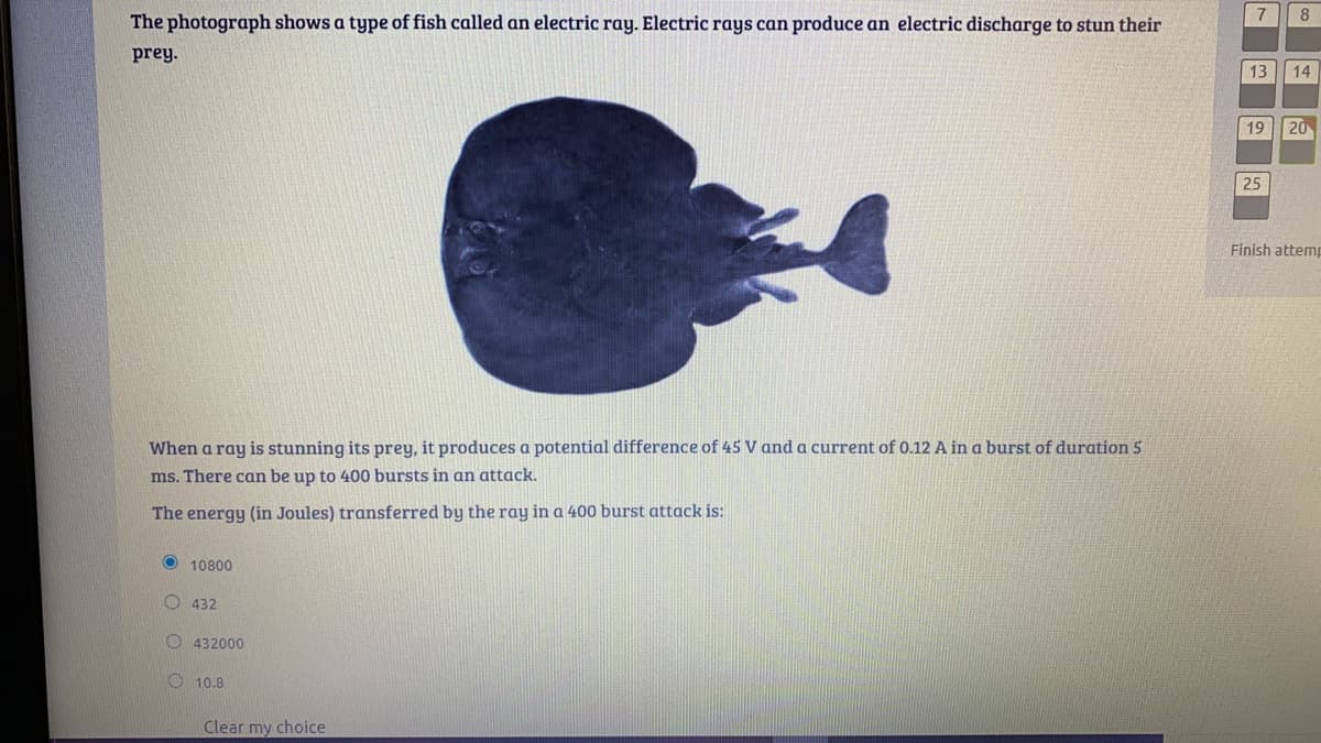 8
The photograph shows a type of fish called an electric ray. Electric rays can produce an electric discharge to stun their
prey.
13
14
19
20
25
Finish attemp
When a ray is stunning its prey, it produces a potential difference of 45 V and a current of 0.12 A in a burst of duration 5
ms. There can be up to 400 bursts in an attack.
The energy (in Joules) transferred by the ray in a 400 burst attack is:
O 10800
O 432
O 432000
O 10.8
Clear my choice
