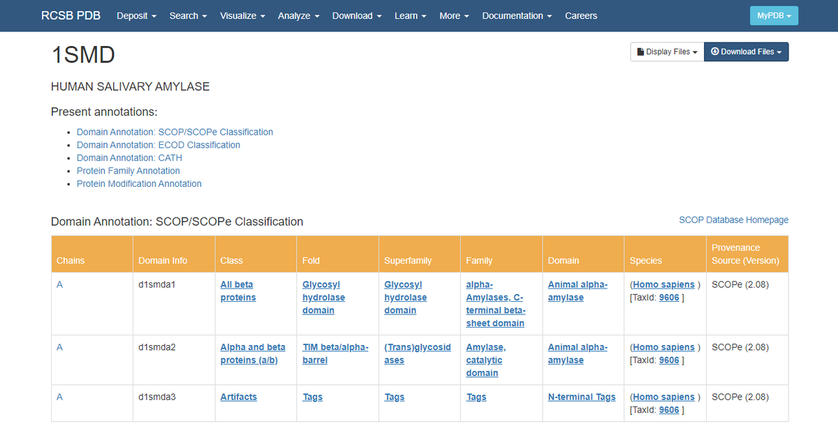 RCSB PDB Deposit -
Search -
Visualize -
Analyze -
Download -
Learn -
More - Documentation -
Careers
MYPDB -
1SMD
i Display Files
O Download Files
-
HUMAN SALIVARY AMYLASE
Present annotations:
• Domain Annotation: SCOPISCOPE Classification
Domain Annotation: ECOD Classification
• Domain Annotation: CATH
• Protein Family Annotation
• Protein Modification Annotation
Domain Annotation: SCOP/SCOPE Classification
SCOP Database Homepage
Provenance
Chains
Domain Info
Class
Fold
Superfamily
Family
Domain
Species
Source (Version)
All beta
proteins
Animal alpha-
(Homo sapiens) SCOPE (2.08)
[Taxld: 9606 ]
A
d1smda1
Glycosyl
Glycosyl
alpha-
Amylases, C-
terminal beta-
sheet domain
hydrolase
hydrolase
amylase
domain
domain
Alpha and beta
proteins (a/b)
TIM beta/alpha- (Trans)glycosid Amylase,
Animal alpha-
amylase
(Homo sapiens) SCOPE (2.08)
[Taxld: 9606 ]
A
d1smda2
barrel
catalytic
domain
ases
N-terminal Tags (Homo sapiens) SCOPE (2.08)
[Taxld: 9606 ]
A
d1smda3
Artifacts
Tags
Tags
Tags
