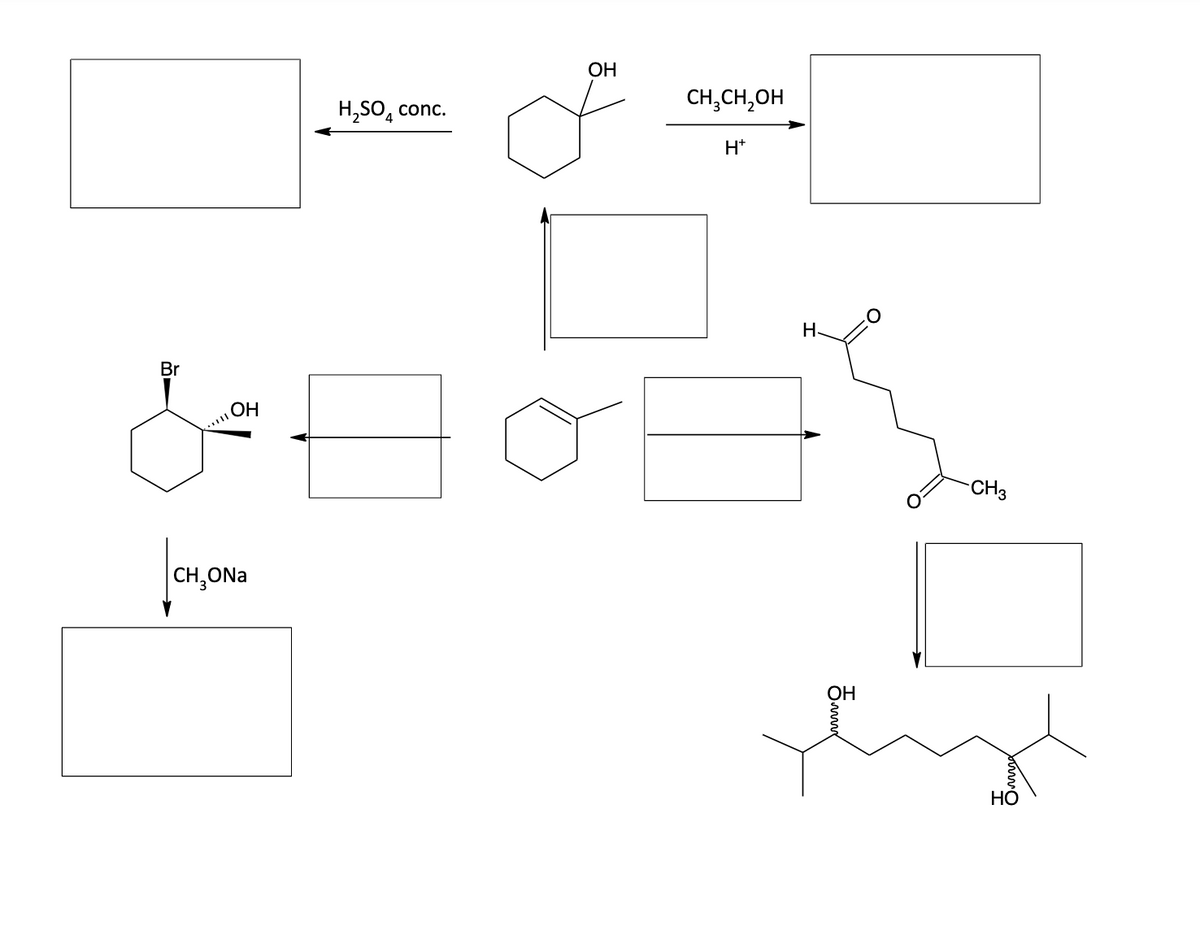 H₂SO4
CH₂ONa
conc.
Br
OH
& Ho
8
OH
CH3CH₂OH
H+
H
OH
CH3
HO