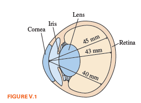 Lens
Iris
Cornea
45 mm
Retina
43 mm
40 mm
FIGURE V.1
