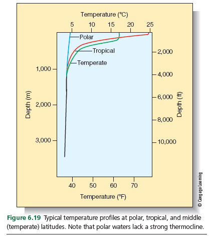 Temperature (°C)
10
15
20
25
Polar
-Tropical
2,000
-Temperate
1,000
– 4,000
- 6,000
2,000-
-8,000
3,000 -
E10,000
40
50
60
70
Temperature (°F)
Figure 6.19 Typical temperature profiles at polar, tropical, and middle
(temperate) latitudes. Note that polar waters lack a strong thermocline.
buju Ben ebe buen O
(4) ndaa
(w) yıdea
