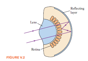 Reflecting
layer
Lens,
Retina
FIGURE V.2
