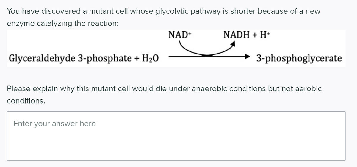 You have discovered a mutant cell whose glycolytic pathway is shorter because of a new
enzyme catalyzing the reaction:
NAD+
NADH + H*
Glyceraldehyde 3-phosphate + H20
3-phosphoglycerate
Please explain why this mutant cell would die under anaerobic conditions but not aerobic
conditions.
Enter your answer here
