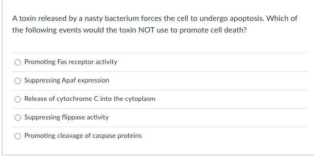 A toxin released by a nasty bacterium forces the cell to undergo apoptosis. Which of
the following events would the toxin NOT use to promote cell death?
Promoting Fas receptor activity
Suppressing Apaf expression
Release of cytochrome C into the cytoplasm
Suppressing flippase activity
Promoting cleavage of caspase proteins
