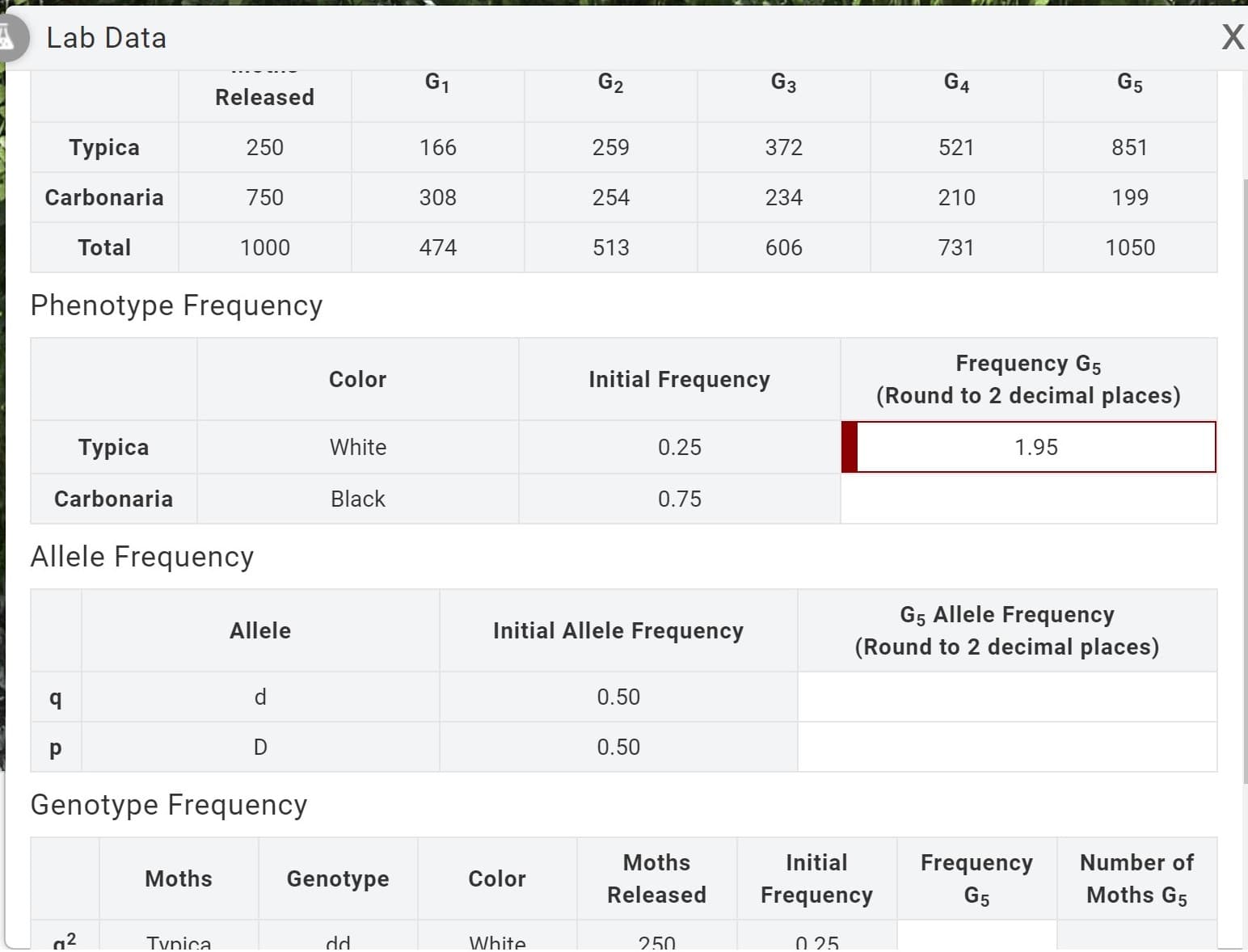 Lab Data
G1
G2
G3
G4
G5
Released
Тypіca
250
166
259
372
521
851
Carbonaria
750
308
254
234
210
199
Total
1000
474
513
606
731
1050
Phenotype Frequency
Frequency G5
(Round to 2 decimal places)
Color
Initial Frequency
Тyрica
White
0.25
1.95
Carbonaria
Black
0.75
