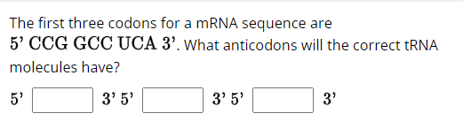 The first three codons for a mRNA sequence are
5' CCG GCC UCA 3'. What anticodons will the correct tRNA
molecules have?
5'
3'5'
3' 5'
3'