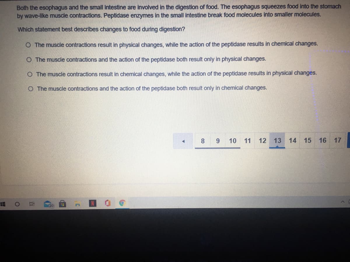 Both the esophagus and the small intestine are involved in the digestion of food. The esophagus squeezes food into the stomach
by wave-like muscle contractions. Peptidase enzymes in the small intestine break food molecules into smaller molecules.
Which statement best describes changes to food during digestion?
O The muscle contractions result in physical changes, while the action of the peptidase results in chemical changes.
O The muscle contractions and the action of the peptidase both result only in physical changes.
O The muscle contractions result in chemical changes, while the action of the peptidase results in physical changes.
O The muscle contractions and the action of the peptidase both result only in chemical changes.
8.
9.
10 11
12 13 14
15
16 17
20
近
