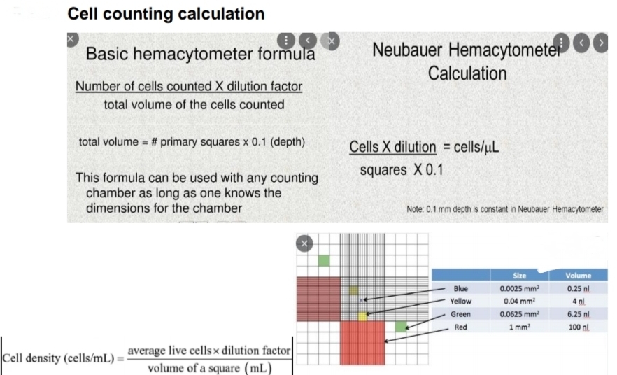 Cell counting calculation
Basic hemacytometer formula
Neubauer Hemacytometer
Calculation
Number of cells counted X dilution factor
total volume of the cells counted
total volume = # primary squares x 0.1 (depth)
Cells X dilution = cells/uL
squares X 0.1
This formula can be used with any counting
chamber as long as one knows the
dimensions for the chamber
Note: 0.1 mm depth is constant in Neubauer Hemacytometer
Size
Volume
Blue
0.0025 mm?
0.25 nl
Yellow
0.04 mm?
4 nl
Green
0.0625 mm?
6.25 nl
Red
1 mm?
100 nl
average live cells × dilution factor
volume of a square (mL)
Cell density (cells/mL) =
