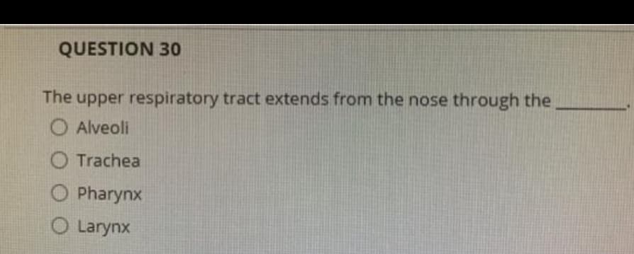 QUESTION 30
The upper respiratory tract extends from the nose through the
O Alveoli
O Trachea
O Pharynx
O Larynx